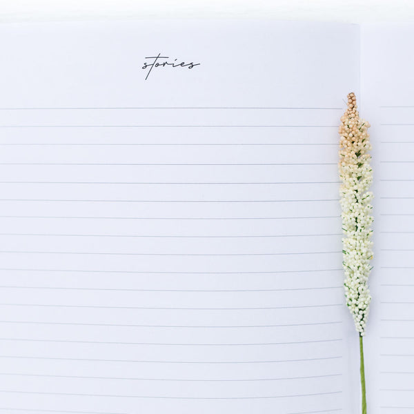 The Three Month Prayer Planner - Brand New Cover Designs - Plan to Pray