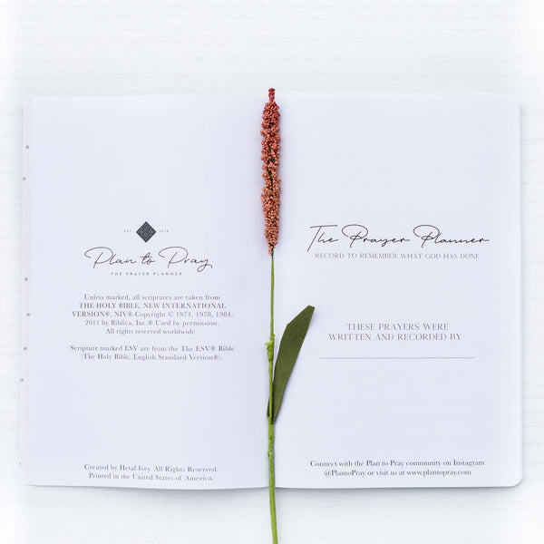 The Three Month Prayer Planner - Brand New Cover Designs - Plan to Pray